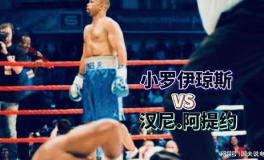 拳击比赛视频下载,经典比赛视频下载背后的精彩瞬间