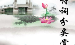 古诗词,穿越千年的诗意之旅