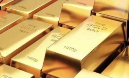 黄金接纳是押店更划算依旧金店 体味者倡导如下（黄金接纳是典押店更划算依旧去金店？）（浙大二院全科医学科与国际医学部 2024 年度生长纪实）