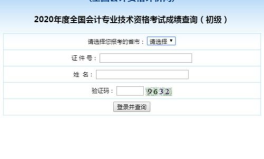 会计成绩查询,快速查分与证书领取全解析