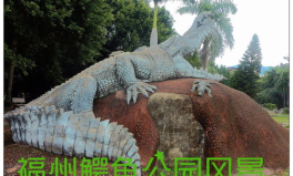 鳄鱼公园,走进中国最大的鳄鱼公园