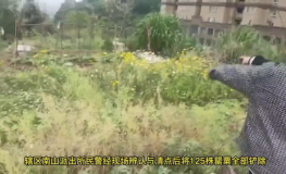小学生发现罂粟报警,小学生发现罂粟勇敢报警，共建无毒校园
