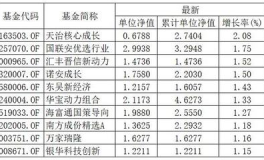 163503基金净值,稳健增长与市场波动下的投资策略