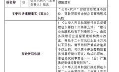 中华人民共和国行政处罚法,维护社会秩序——中华人民共和国行政处罚法概览