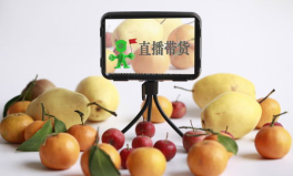 小红书娱乐圈吃瓜直播带货,小红书上的吃瓜与购物狂欢