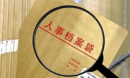 天津市人才服务中心存档案,天津市人才服务中心档案概览