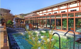 大连唐风温泉团购,畅享养生SPA，优惠价尽享尊贵体验