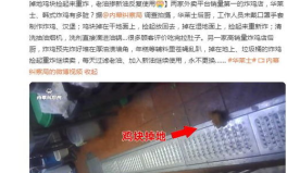 华莱士回应鸡块掉地捡起继续炸,鸡块掉地捡起继续炸，官方致歉并停业整顿