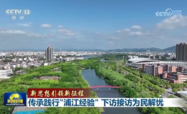 浦江经验,探索新时代社会治理创新之路