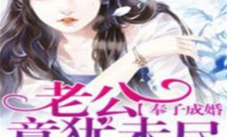 有声小说奉子成婚,奉子成婚的甜蜜纠葛