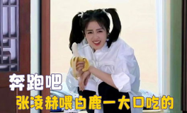 娱乐吃瓜酱白鹿,娱乐吃瓜酱的甜蜜蜕变之旅