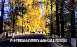 娱乐吃瓜君豪宅,揭秘豪宅背后的奢华生活