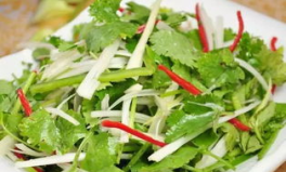 51cg黑料老虎菜,老虎菜背后的真相与争议