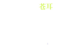 列举三种植物传播种子的方式,风、水与动物的助力
