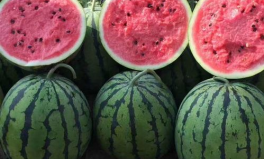 不舍昼夜吃瓜娱乐,揭秘不舍昼夜的娱乐盛宴