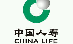 华夏人寿保险,全国性股份制寿险公司，创新引领行业发展的领军者