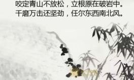 竹石古诗词,傲立之竹——郑燮竹石诗意解读