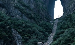 （别错过！成都这家“三甲”病院正正在招人）（QQ极快版和轻聊版的区别）？从深山茶田走向国际舞台非遗赋能农村强盛最低廉5元一条！谁正在教未成年人拍“举牌”视频