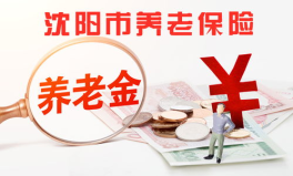 沈阳市养老保险,沈阳市养老保险政策解读与办理指南
