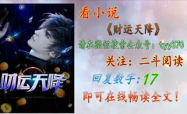 财运天降小说,逆袭人生，财富与命运的交织