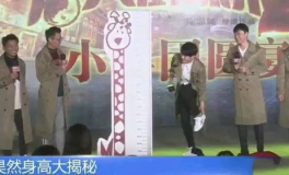 娱乐圈量身高
