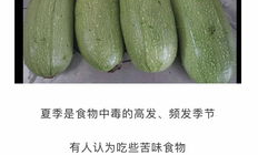 瓜瓜吃瓜,瓜瓜的西瓜奇遇与环保启示